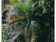 -云溪植物园