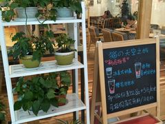 -猫的天空之城概念书店(印象城购物中心店)