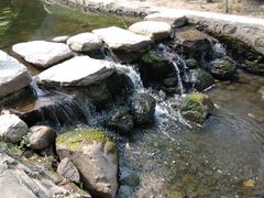 -白水寺森林公园