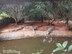 -海南热带野生动植物园