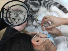 -乖乖乐动物医院(小汤山分院)