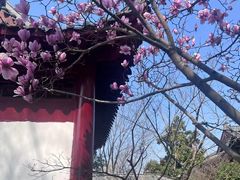 -武汉园博园(武汉自然博物馆)
