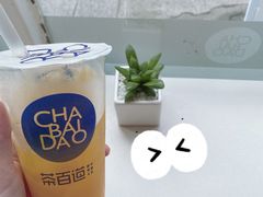 -茶百道(玉林店)