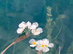 -丽江泸沽湖景区
