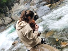 -石台牯牛降景区