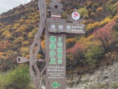 -佛掌沙丘