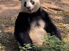 -广州动物园