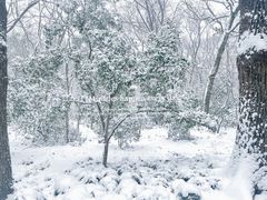 -灵谷景区