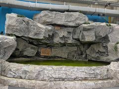 -爱江山温泉(凌奥店)