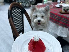 -名点荟·生日蛋糕·下午茶(五缘湾店)