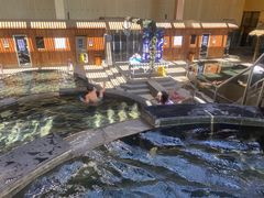 -嘉佑温泉水世界