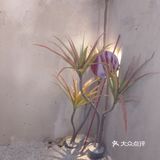 店里的客人不少,老板很热情。虽然只是家面馆