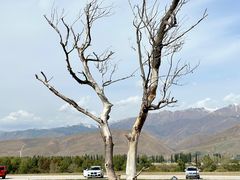 -新疆那拉提国家旅游度假区