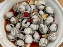 生腌血蚌-揭阳钟记小食(福田新村店)