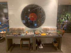 -和雅集素斋(景区店)
