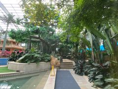 -国信南山温泉