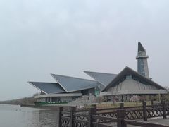 -盐城丹顶鹤湿地生态旅游区