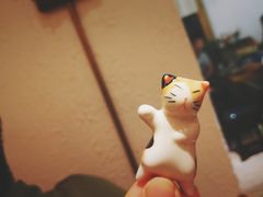 -猫爷的腔调·黔小馆(交大医学住宅区店)