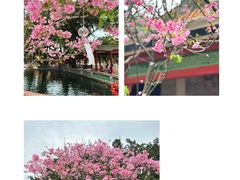 -宝墨园景区