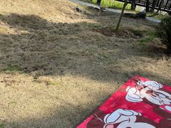 -东湖落雁景区