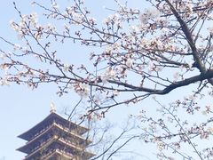 -鸡鸣寺