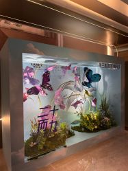 -深圳米兰柏羽医疗美容医院