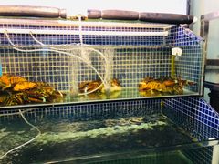 水产区-庆余生平价生猛海鲜(海棠湾林旺夜市店)