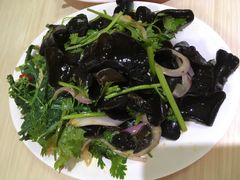 素凉菜-淘气饸饹面总店