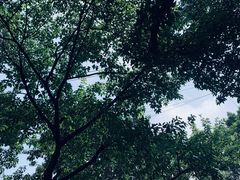 -岗上渣渣老火锅(两路口店)