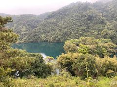 -鼎湖山风景区