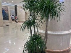 -逸派咖啡 EPARKCOFFEE(广安门店)