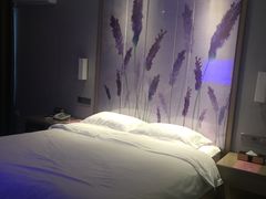 -麗枫酒店(西安大明宫龙首原地铁站店)