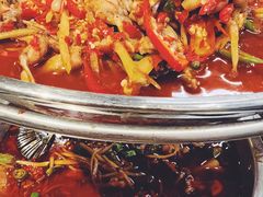 子仔姜小蛙-盐井记·自贡美蛙鲜锅兔(中和店)