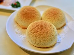 雪顶雄峰-利苑酒家(金宝店)