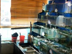 水产区-小船渔村•大连菜•大连焖鱼(明泽街店)