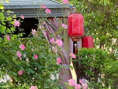 -后海彼岸花园餐厅