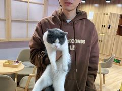 -白兔子密室(长寿路店)