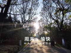 -白塘生态植物园