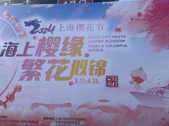 -顾村公园