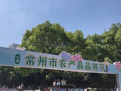 -常州古运河南大街文化旅游区-人民公园