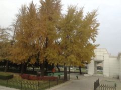 -大连人民广场