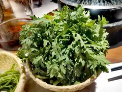 -芸山季·云南山珍菌火锅(人民广场来福士店)