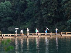 -酒仙湖景区
