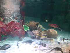 -沈阳海洋探索中心