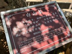 -青岛崂山太清宫