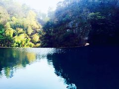 -祁门牯牛降观音堂风景区