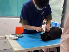 -伟伟宠物医院·CT影像中心·瑞派犬猫综合性门诊(汉口总院)