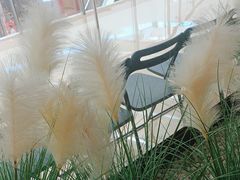 -绿茶餐厅(天津天河城店)