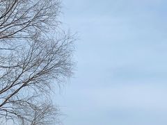 -野鸭湖国家湿地公园