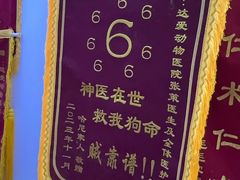-达爱动物医院·犬猫分区·CT·复杂眼科(远洋山水分院)